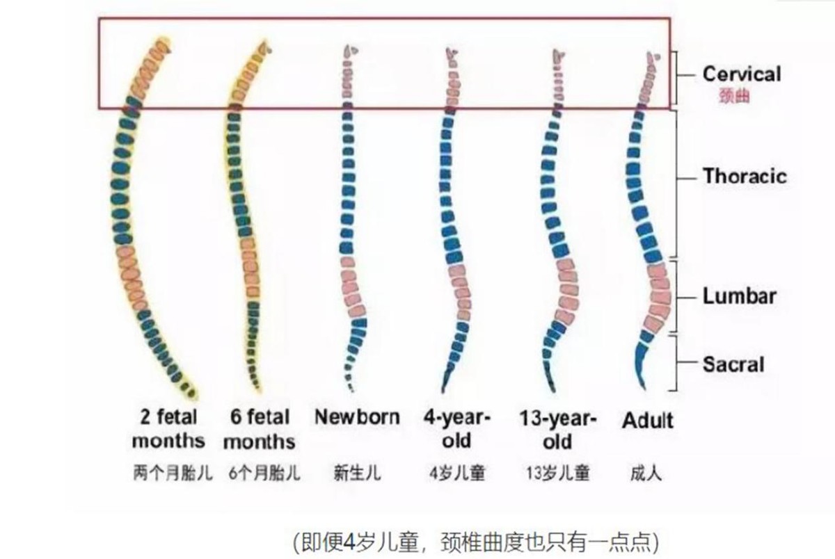 宝宝多大可以睡枕头？当小家伙有这3个动作，宝妈就可以准备了