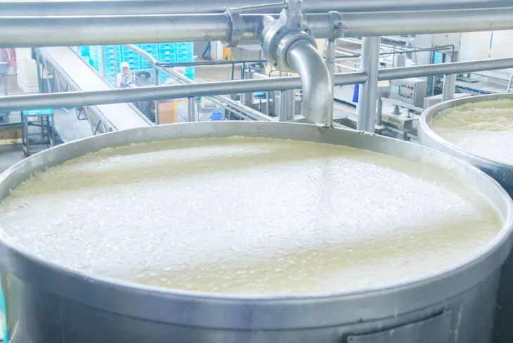 直击！这家豆腐工厂的春节前奏