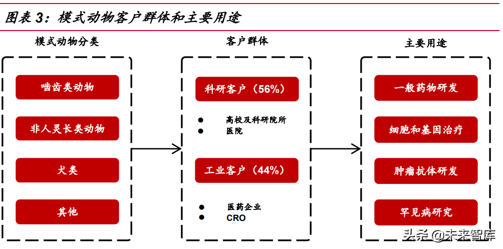 医药行业深度报告：医药研发热情高涨，模式小鼠方兴未艾