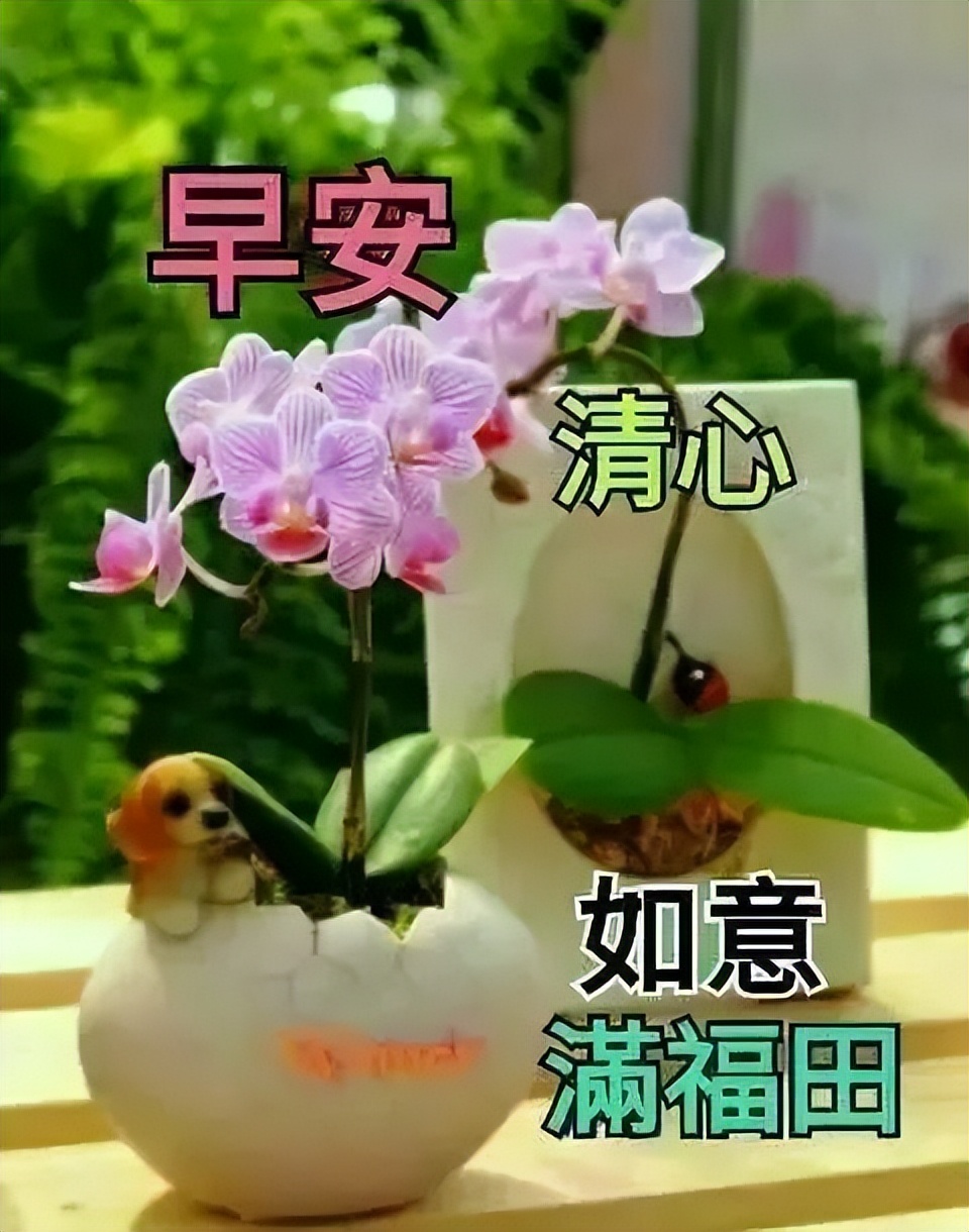 五月微信群发早上好问候亲友短句，周二早安，吉祥如意、健康快乐图片