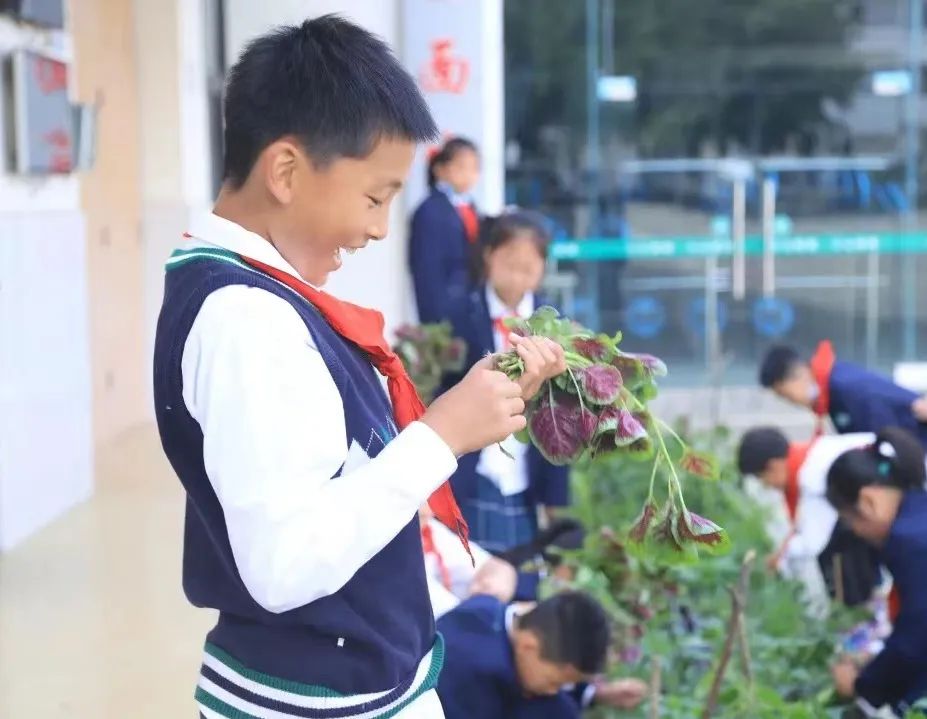 心育未来 静待花开——南湖小学（含北区）心理健康教育工作掠影