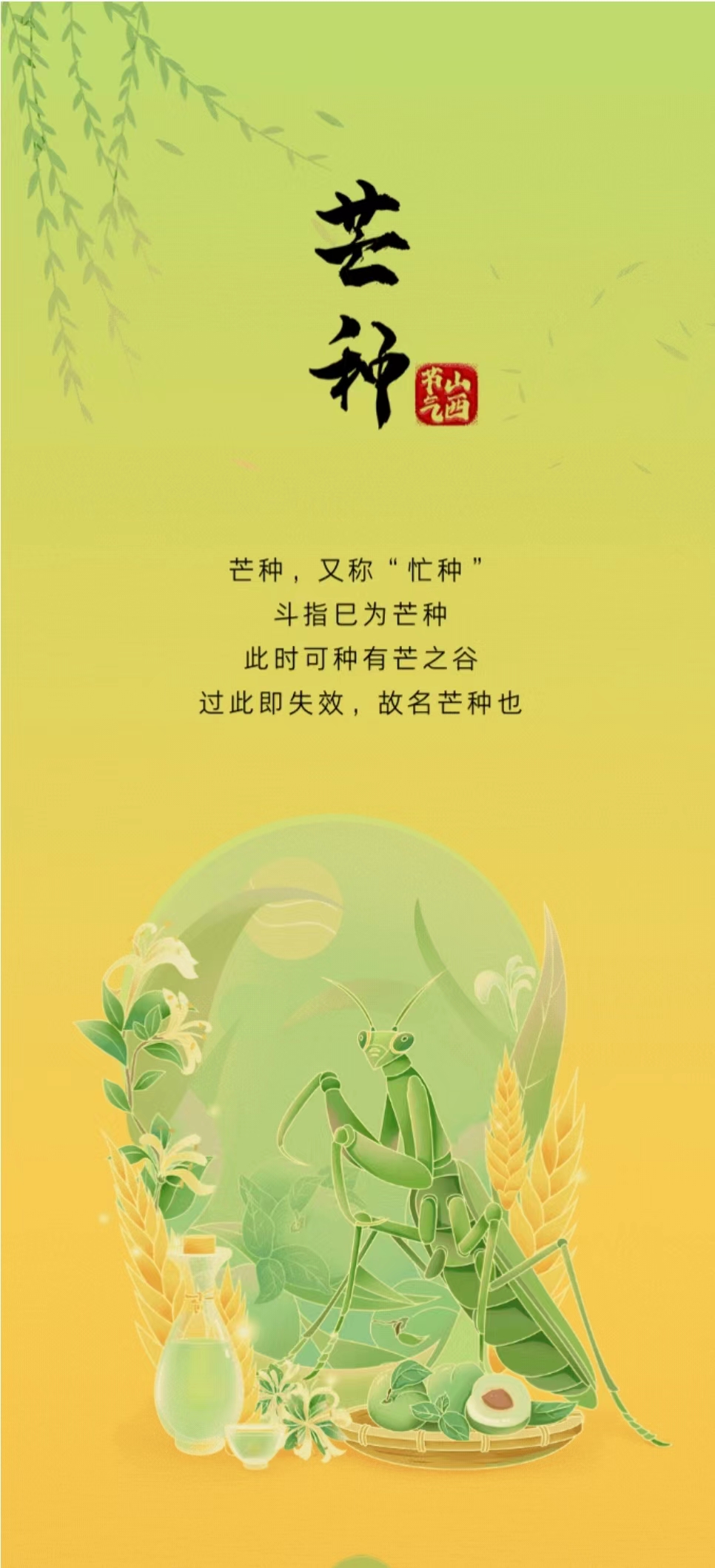 跟着太阳去旅行 | 芒种