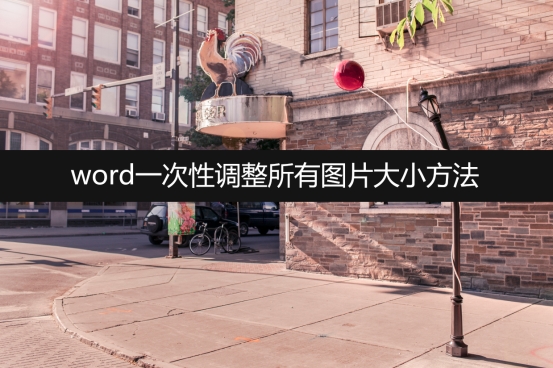 word一次性调整所有图片大小方法有哪些(怎么word改照片尺寸)