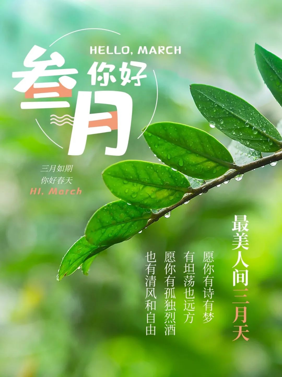 「2022.03.01」早安心语，二月再见三月你好！新的一天新的开始