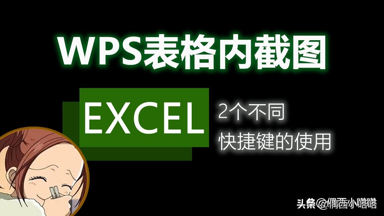 wps表格截图快捷键(WPS的excel表格截图快捷键是什么？怎么使用？)
