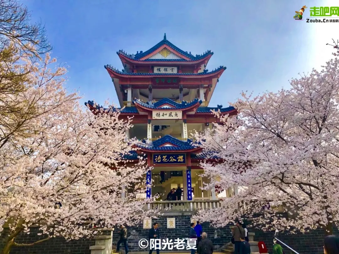 快开啦！这些地方的春景正在悄悄席卷全国，大气又美丽，别错过