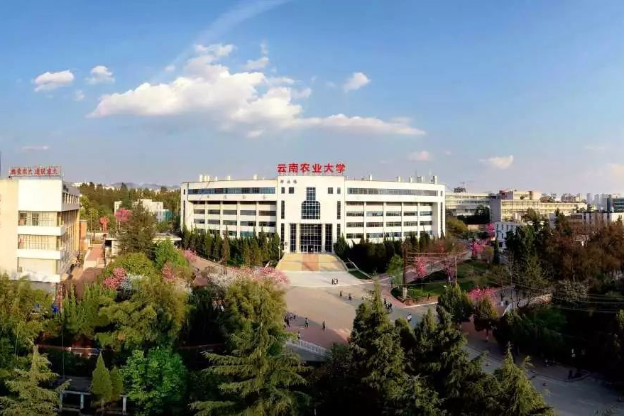 五所设计学类录取线最低的公办院校，你所在的省份录取线是多少？