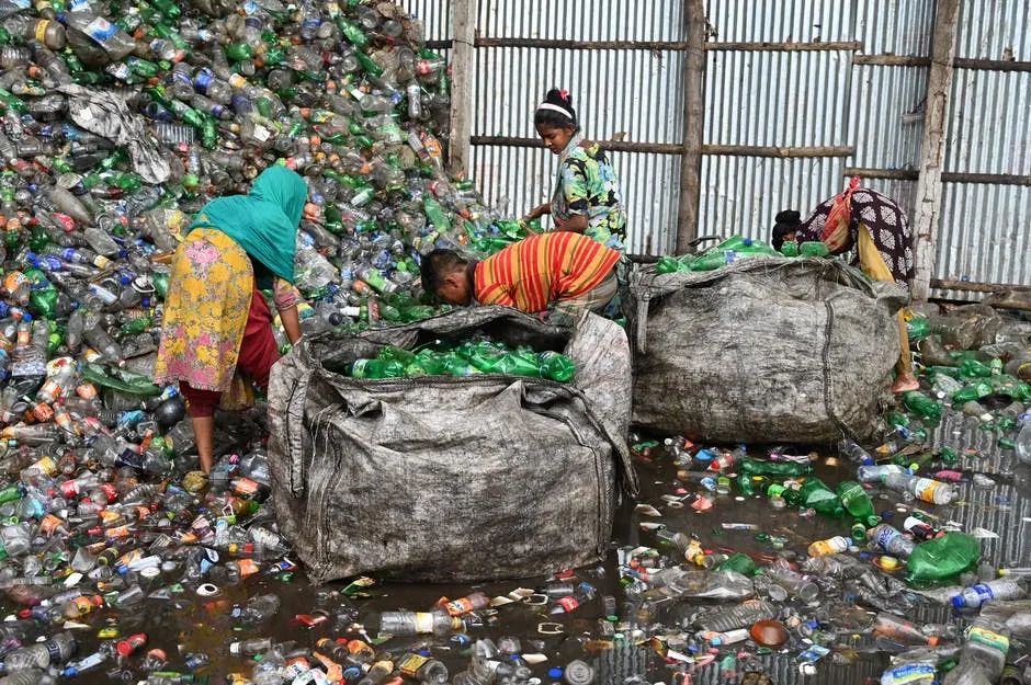 回收的塑料瓶都用在了哪里？收垃圾一年利润超百万，心动吗？