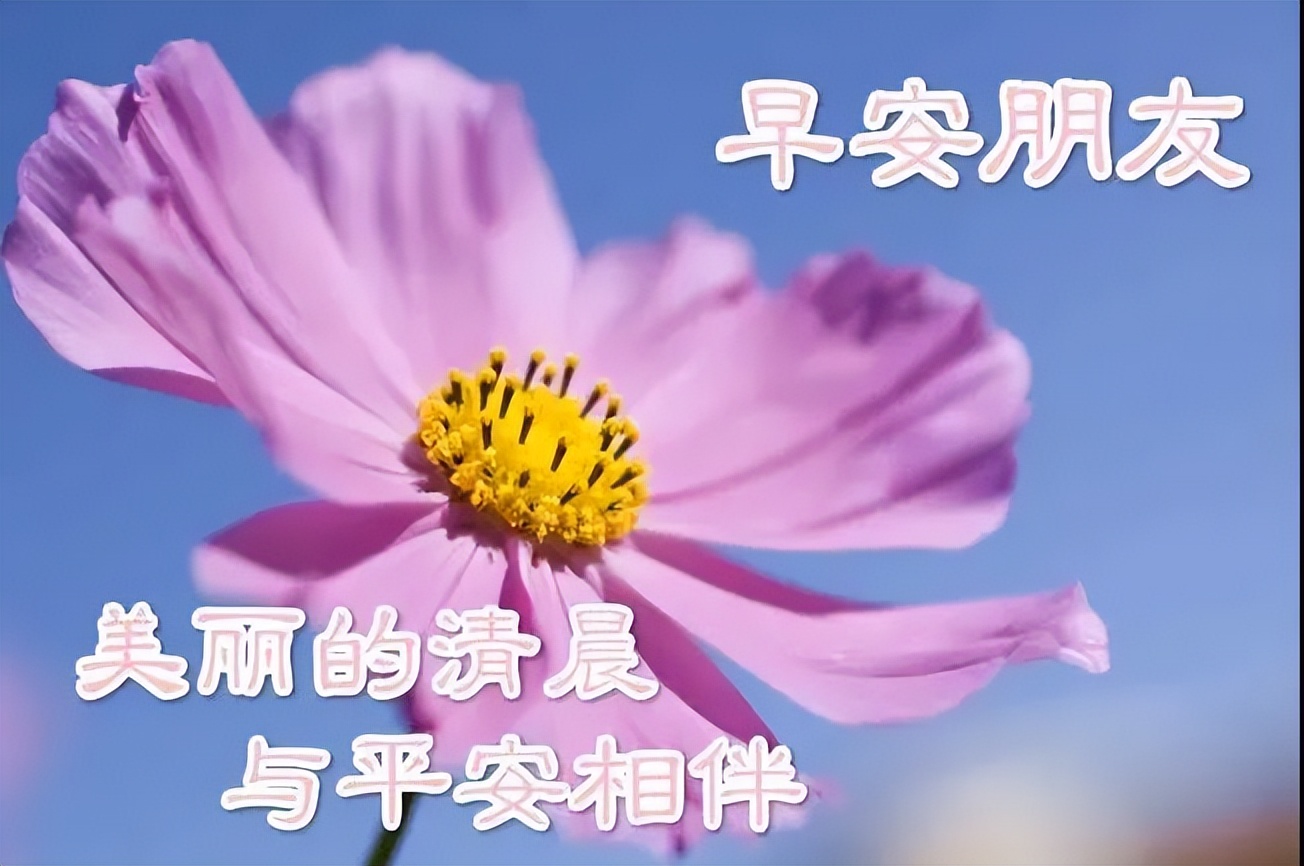 新的一天微信早上好的问候语图片 问声早安、心中舒坦图片