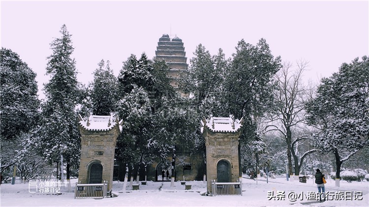 一下雪，西安就穿越了几千年！随手一拍，便是绝色长安