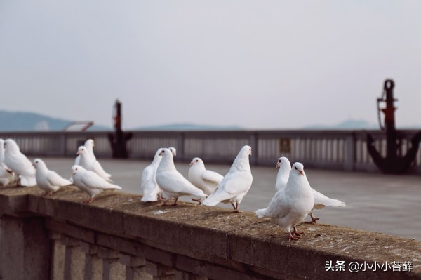 5天4晚海滨之旅，遇见冬日最浪漫的大连