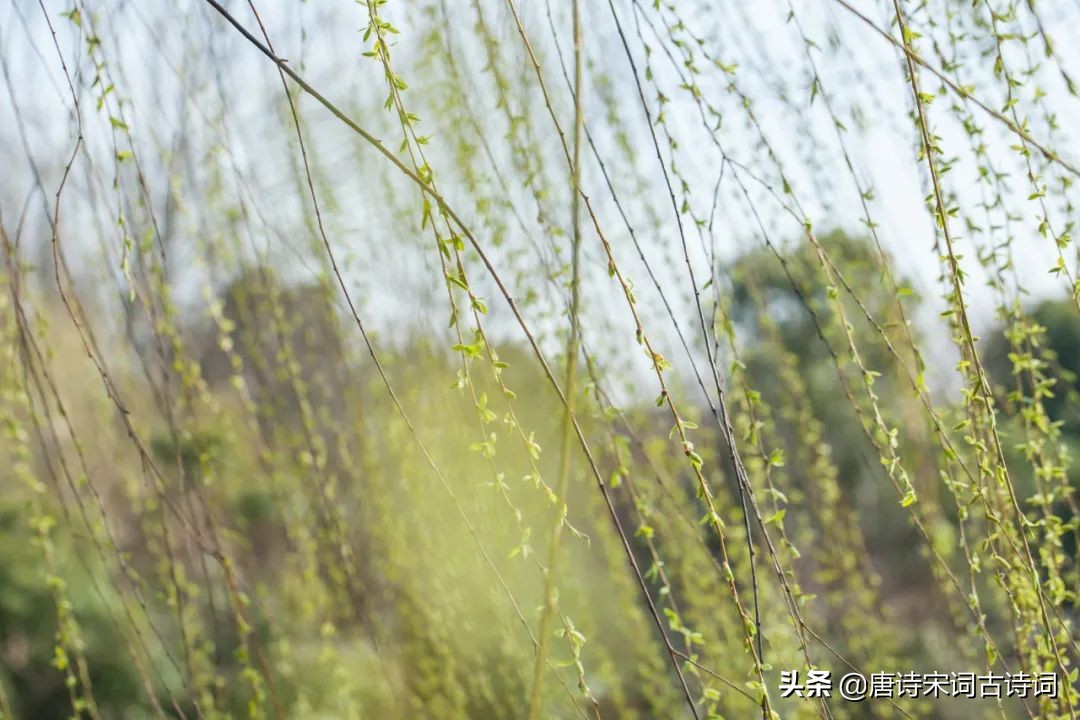 春天是什么季节(春天，不止一面)