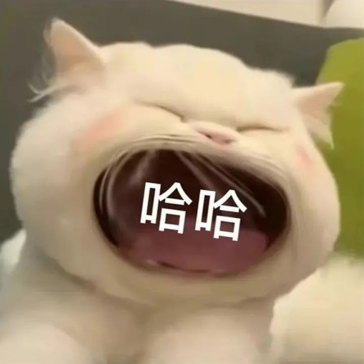 小猫咪问号脸表情包