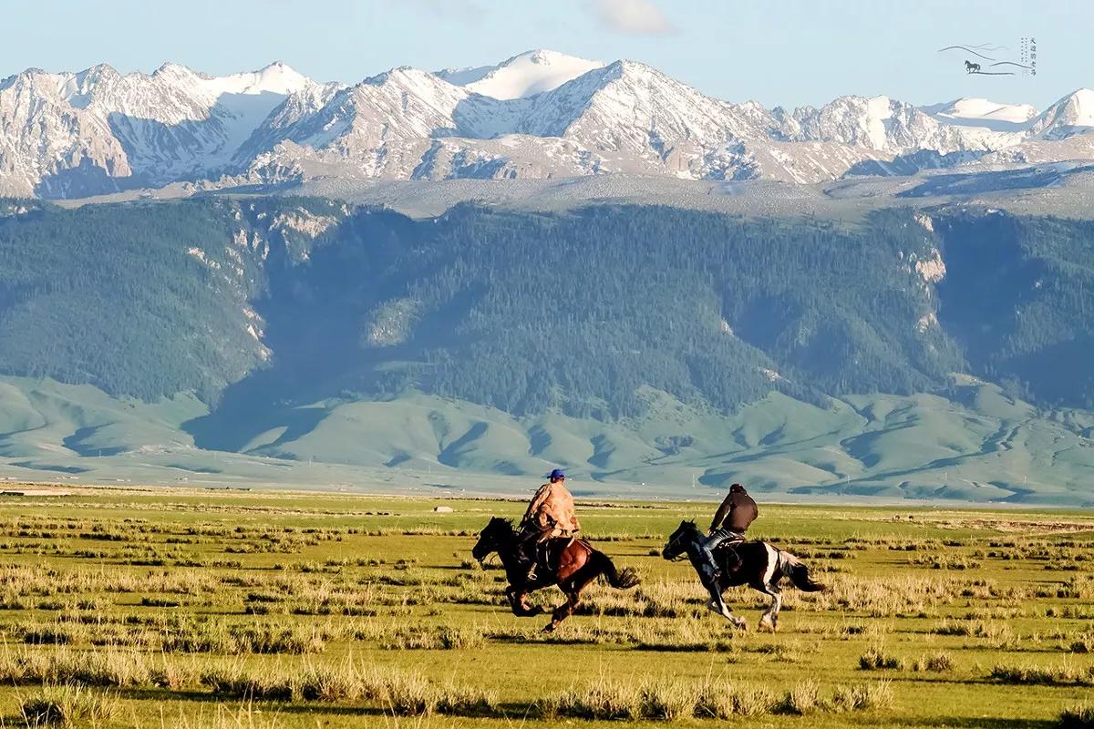 美丽的草原，我来了