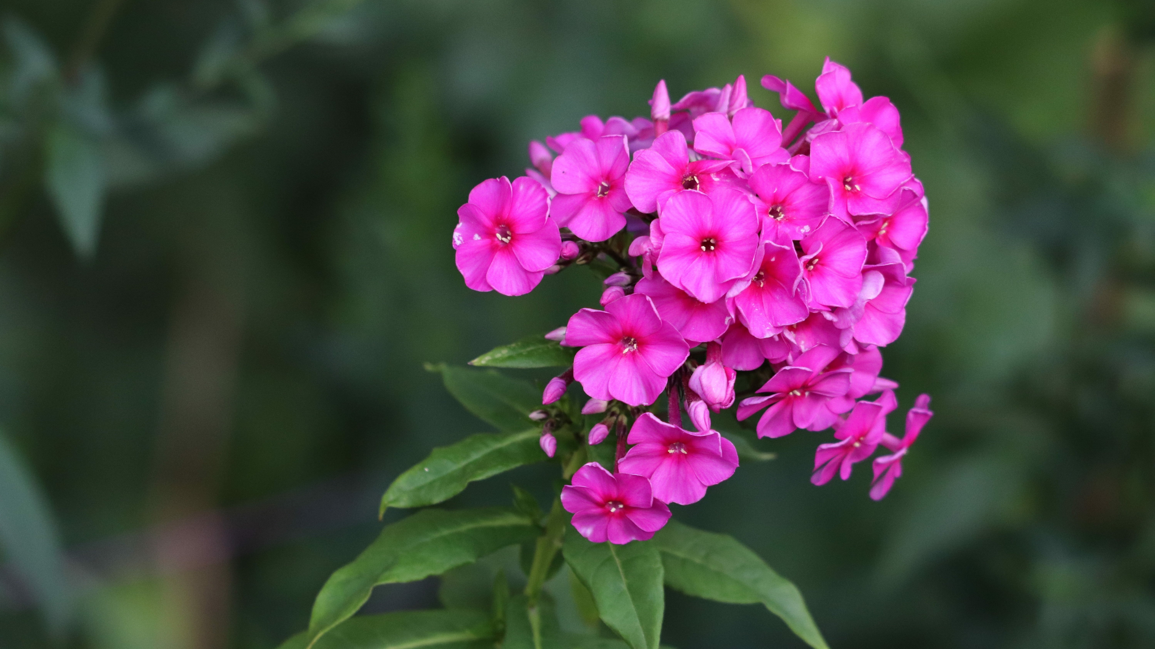 4月上旬,好运加持,诸事顺遂,后来居上的三大星座