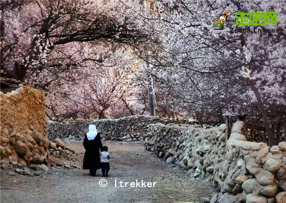快开啦！这些地方的春景正在悄悄席卷全国，大气又美丽，别错过