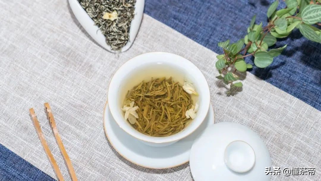 茉莉花茶饮料（茉莉花茶品牌推荐这几款闭眼入不踩雷）