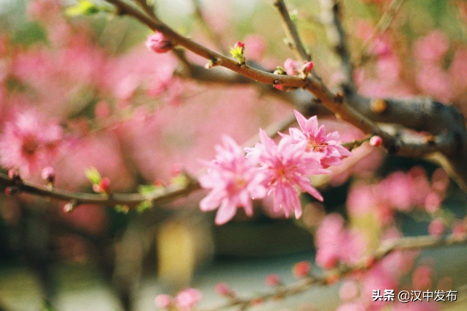 “五一”放假安排來了！還能跨省出行嗎？權(quán)威解答→