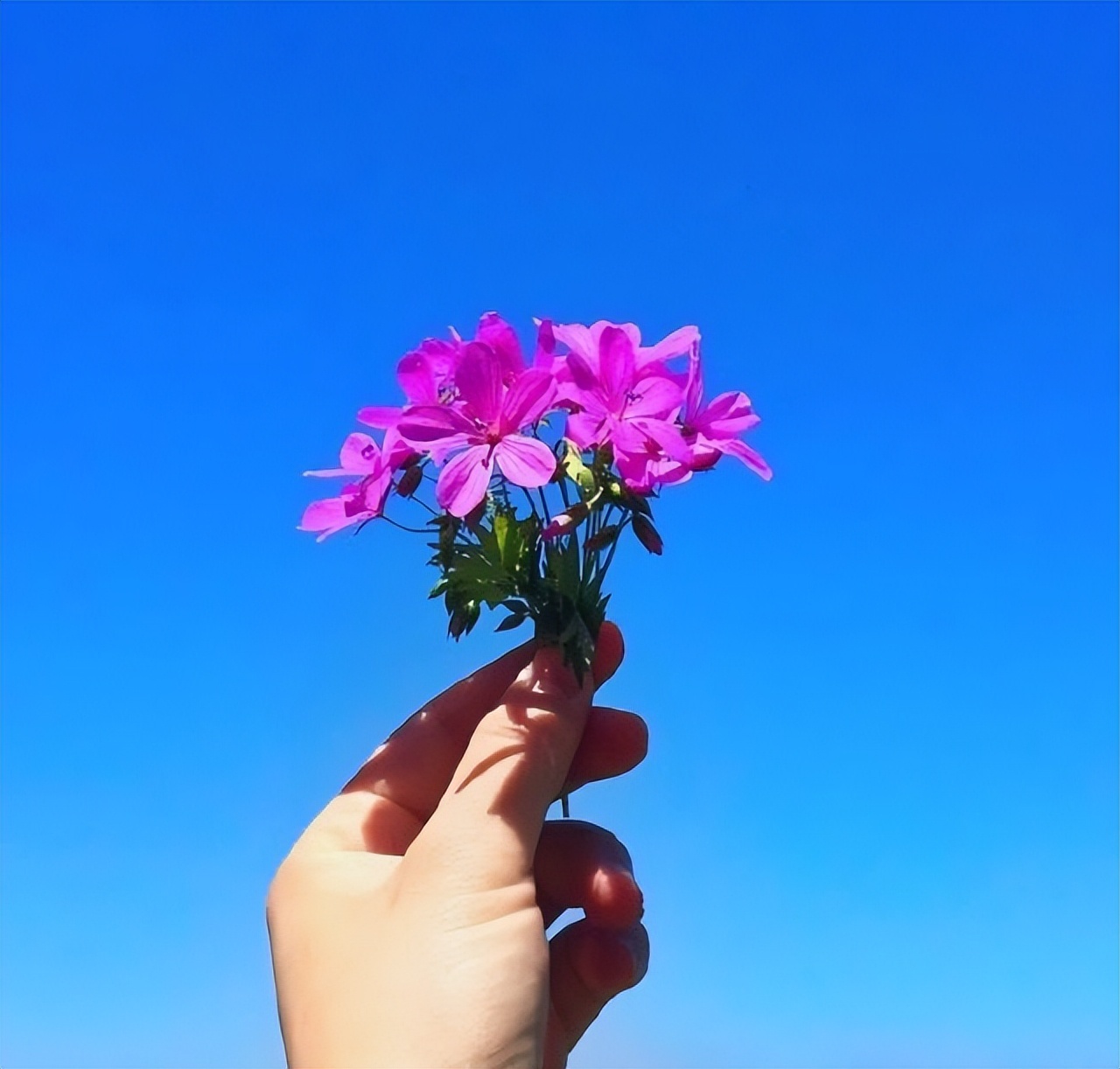 很经典的人生感悟语录