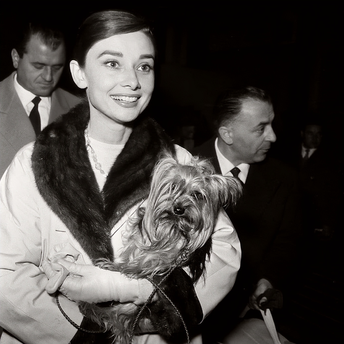 奥黛丽赫本到刘嘉玲再到中戏200年校花曾黎 奥伦纳素绝对不简单