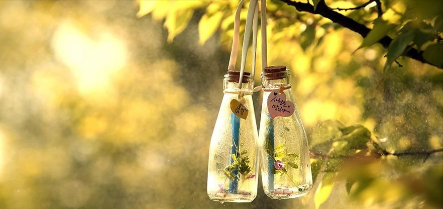 7首诗词：人世间，最美的相遇是重逢