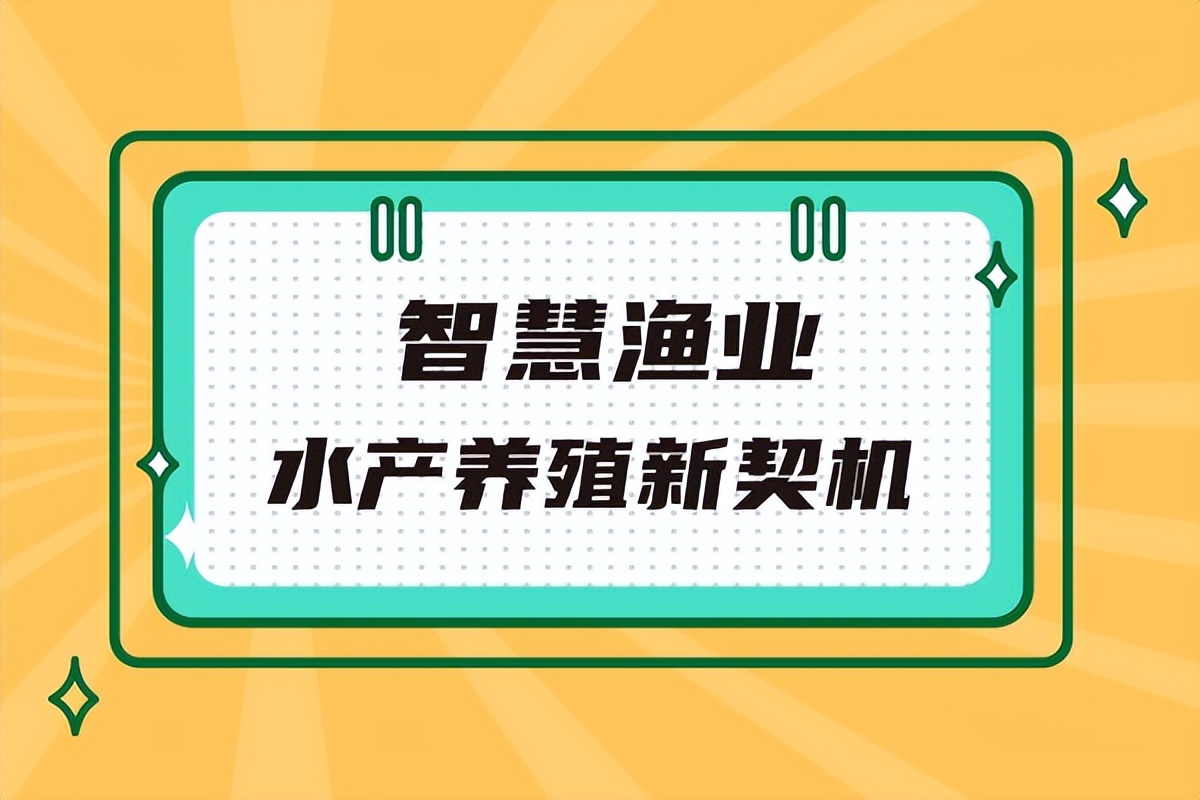 智慧渔业——水产养殖新契机