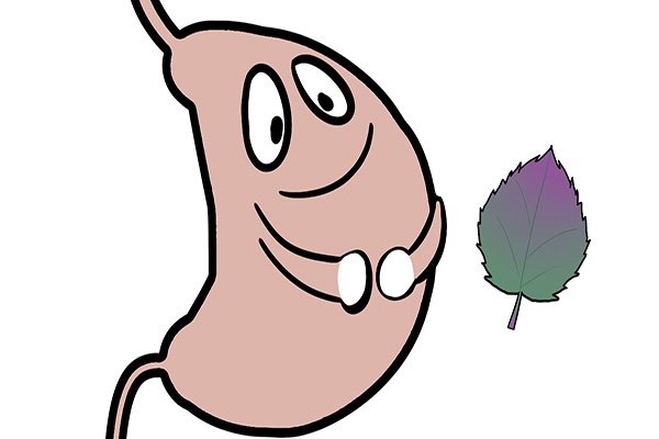 胃癌高发，为什么胃镜是检查胃癌的有效方式，很多人却不愿做？