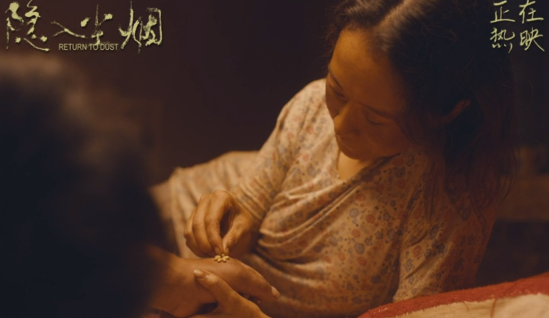 院线8分票房血扑！演员全是“关系户”，只剩海清是“真”演员？