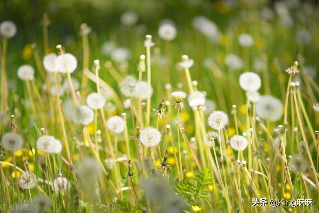春天要多吃这鱼(春天吃啥鱼)