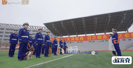 10分钟看哭7次！当他们不再“有用”的时候，却也无法正常生活