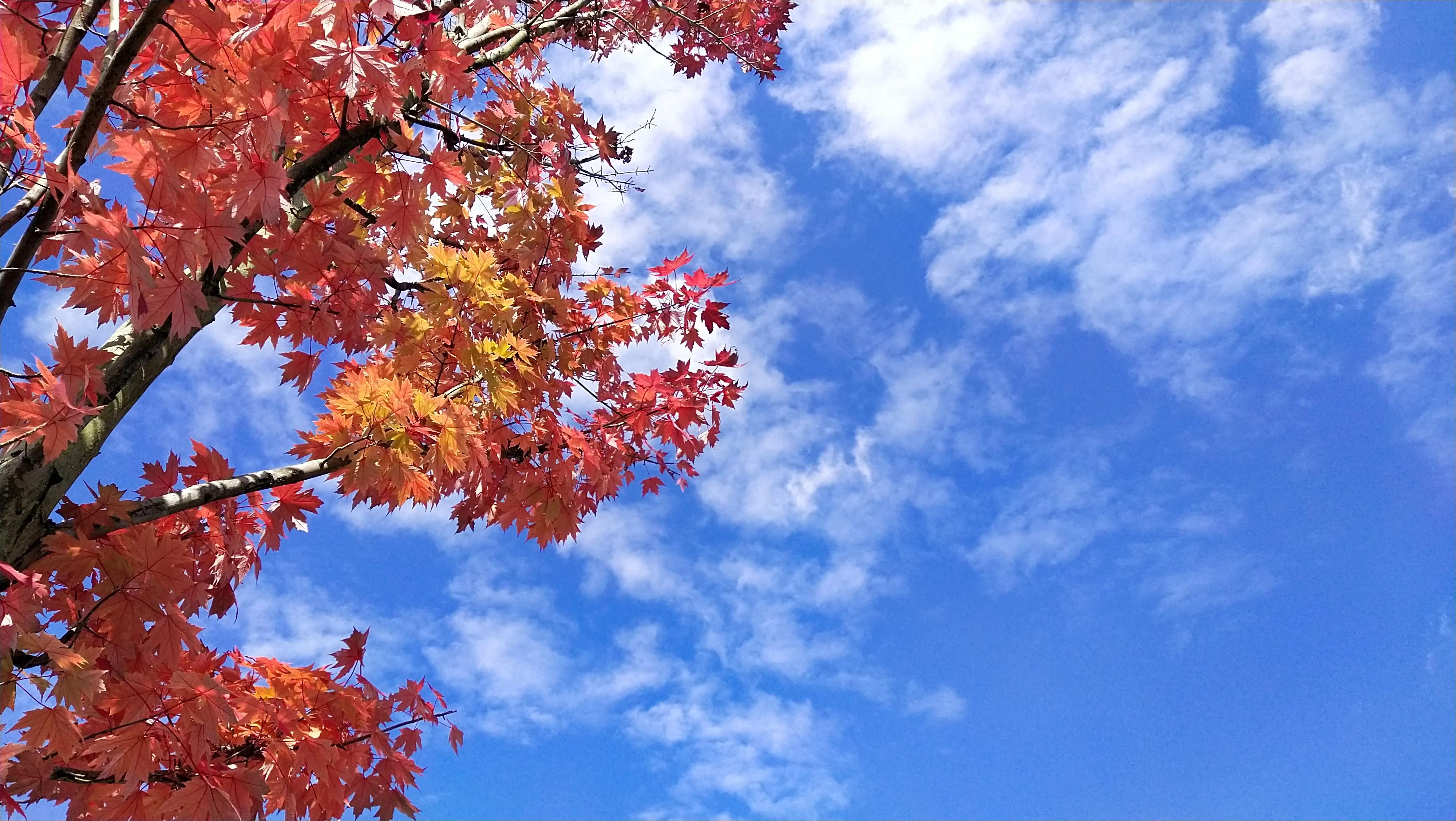 关于太阳云朵的说说配图「伤感」 _qq说说网