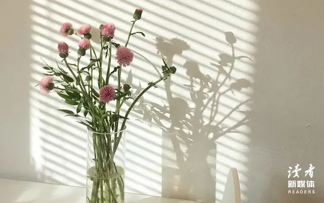 中年以后,请过低耗的生活