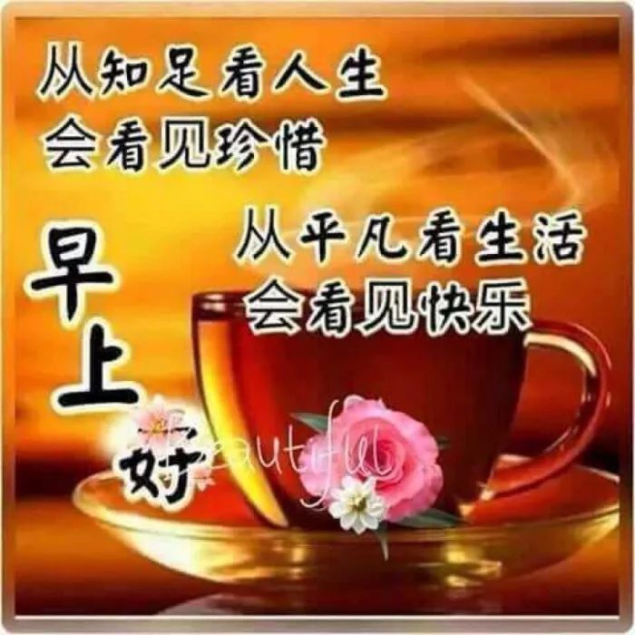 早上好祝福寄语 早上好问候图片大全 从平凡看生活会看见快乐图片