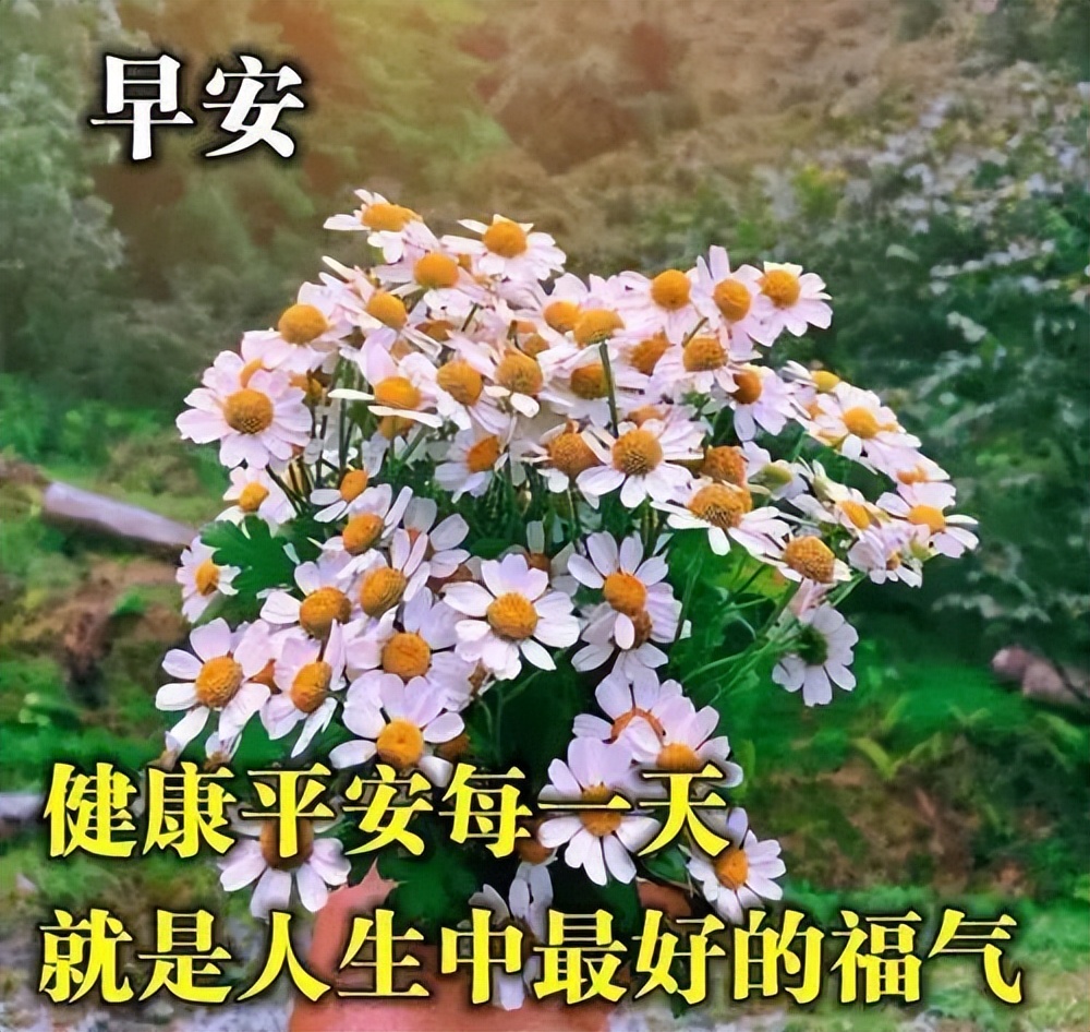 星期五祝福表情图片鲜花带字 清晨问候朋友早上好的温馨祝福语录图片