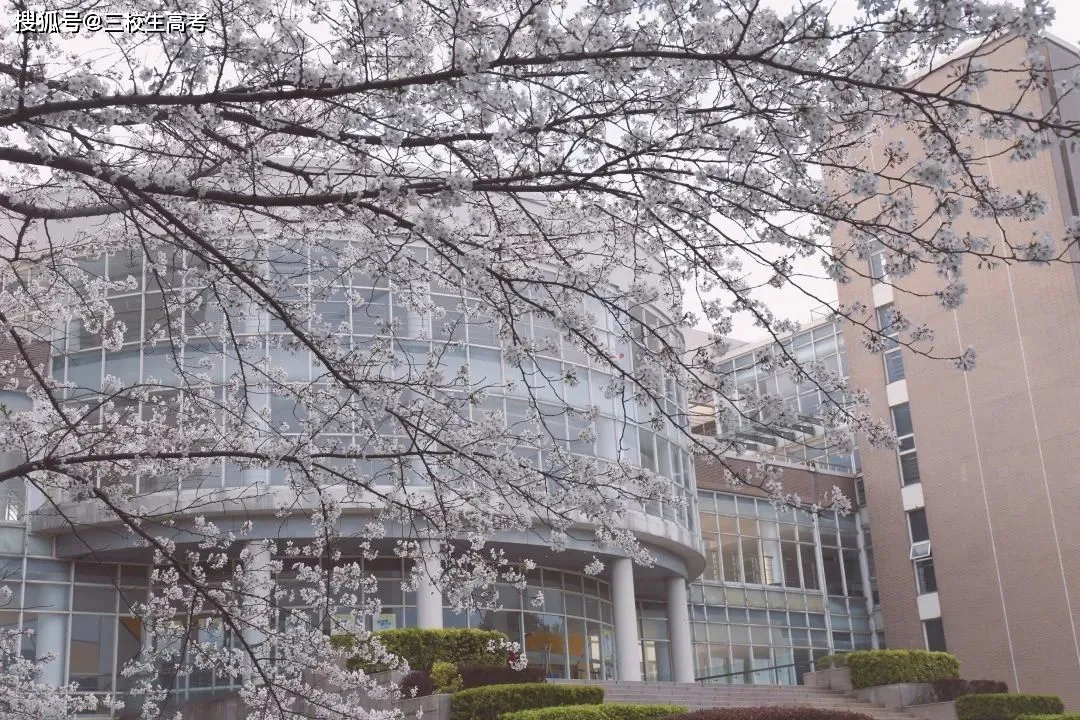 上海工程技术大学：上不了“211工程”大学，报考该校是个好选择