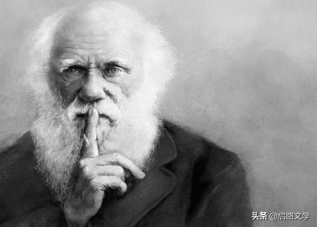 达尔文5句从大自然悟出来的人生哲理名句,发人深省,警醒世人