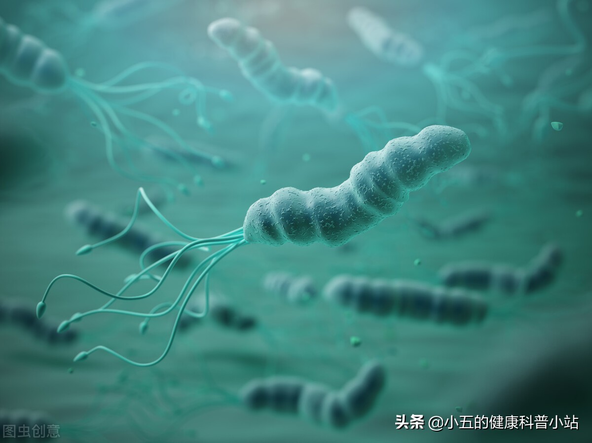 得了慢性萎缩性胃炎不可怕，科学使用4类药物，积极预防病情发展
