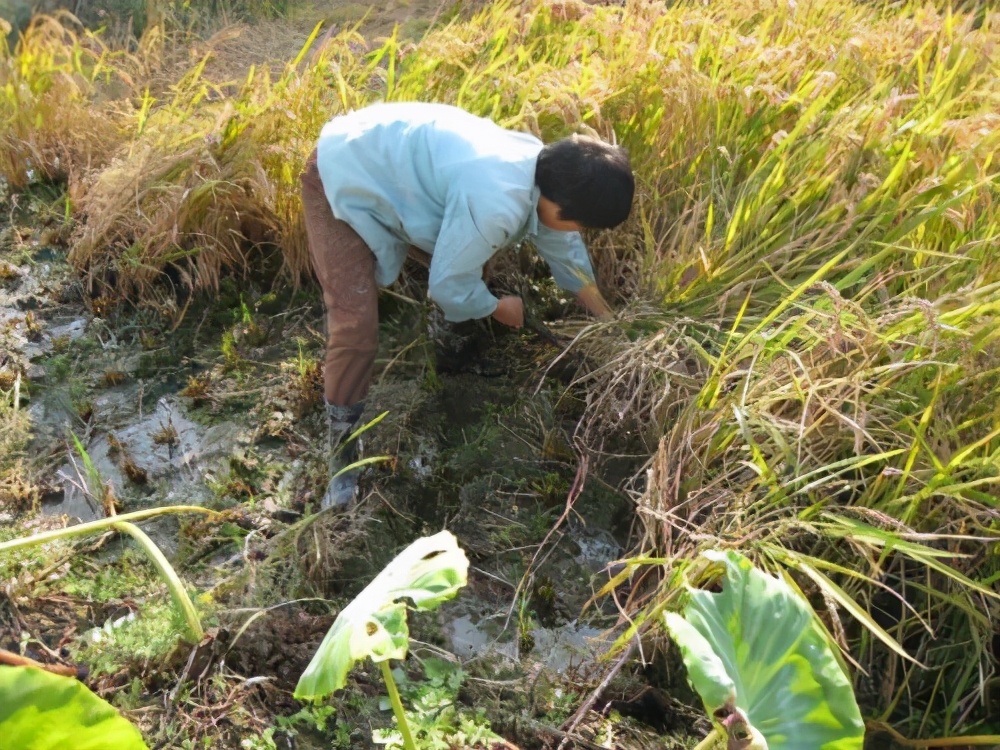 “寒门学子”江群：一家6口靠母亲养活，高考681分圆梦清华