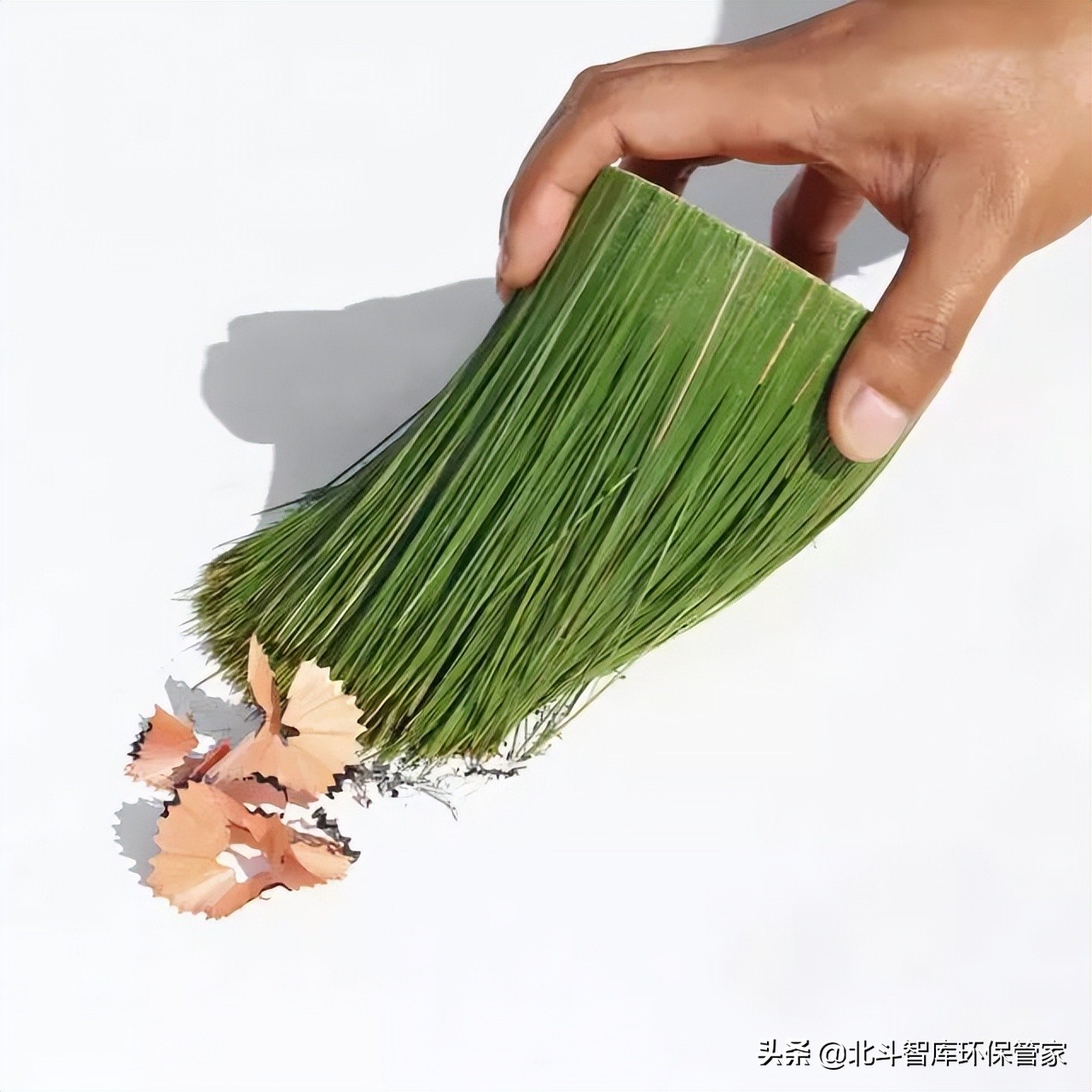 冲厕水酿啤酒？松针变收纳？这些环保创意让人耳目一新