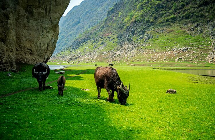 贵州十大冷门景点，人少景美好玩