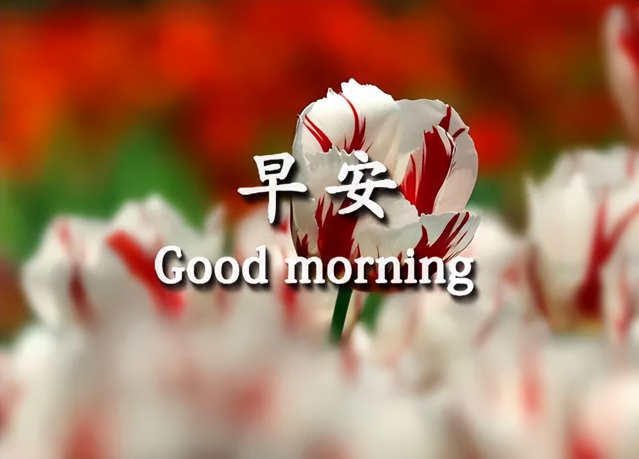 星期四早上好祝福图片早上好简短问候句子 早晨笑一笑，生活更美妙图片