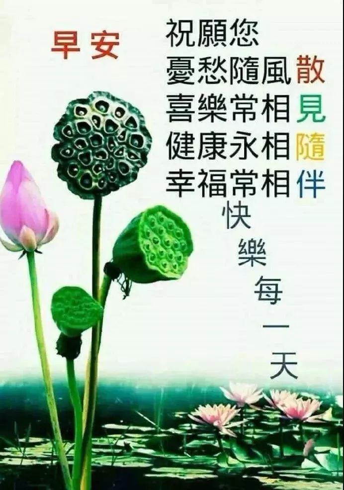 9月最新版早安问候祝福语图集 一分真诚，二分问候，三分祝福图片