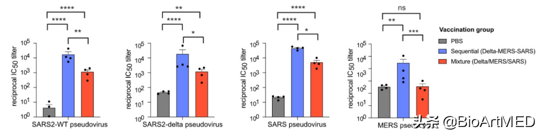 新冠疫苗四连！多价mRNA疫苗可有效预防多个种属的致重症冠状病毒