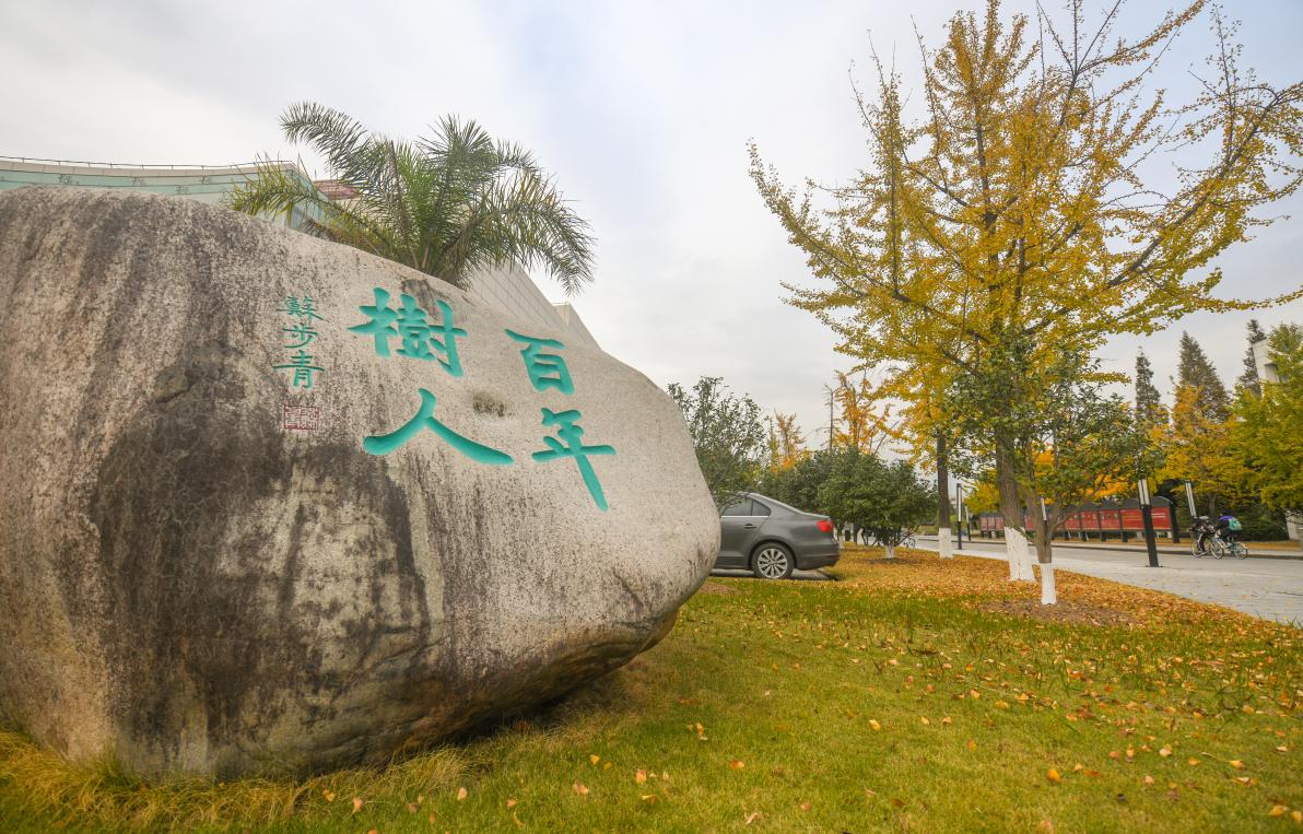 新增专业招生达397人，温州大学2022年艺术类录取需多少分？