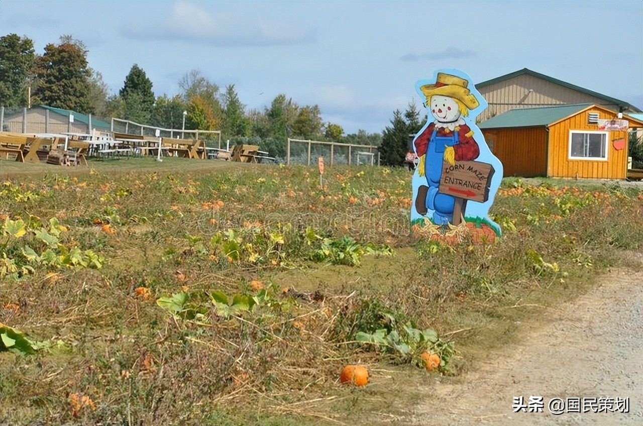 官方：鼓励有意愿农户成为家庭农场！拐点已出现，小农业是载体？