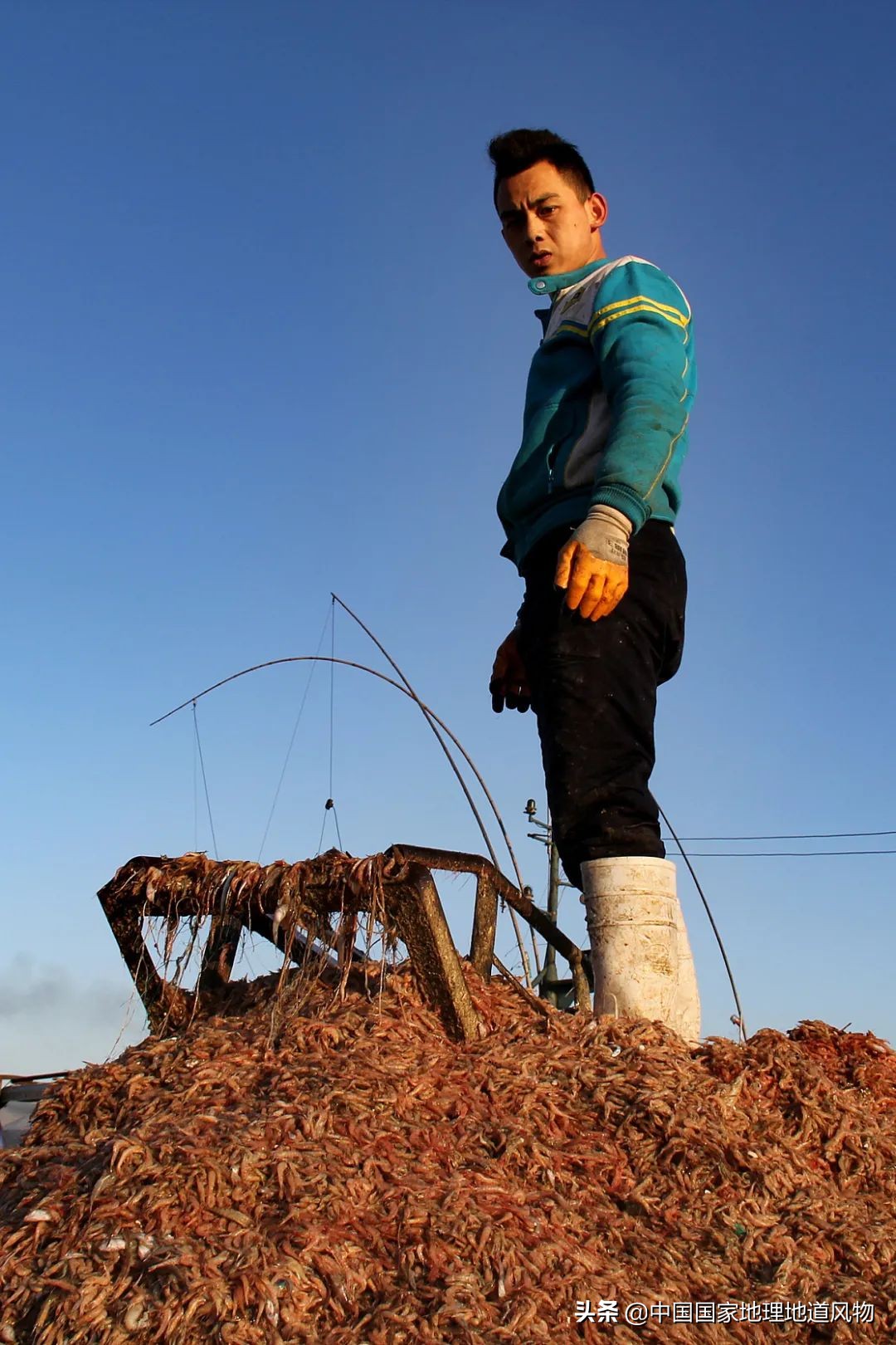 辽宁，被忽略的海鲜大省