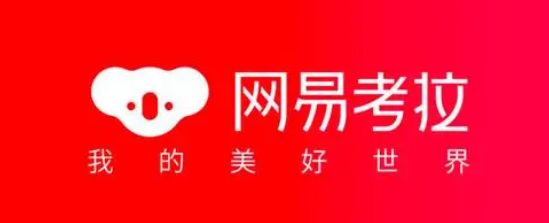 排名前十的電商平臺(tái)有哪些