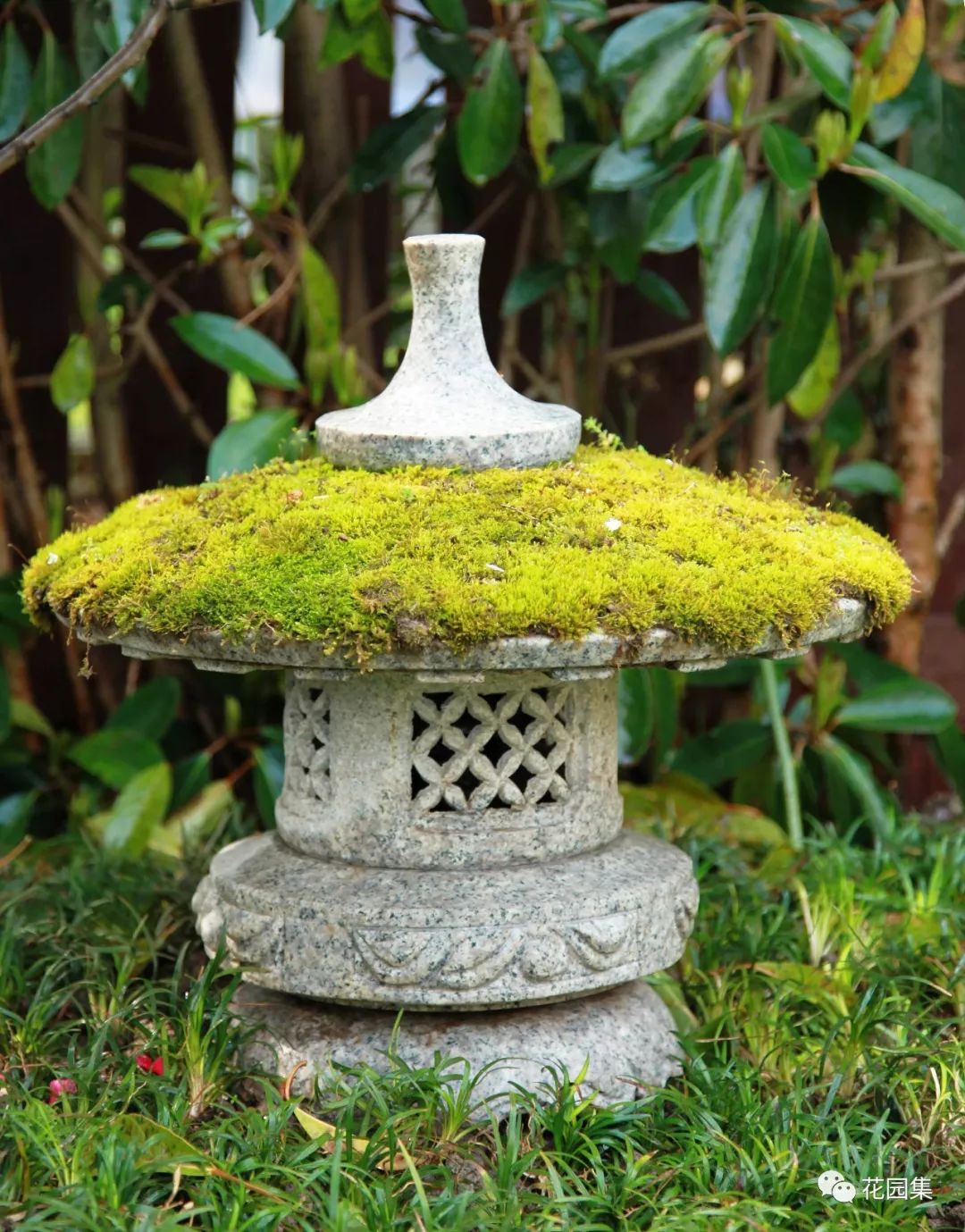 花园里的小空间，不妨打造成禅意景观，让它满足你的所有花园幻想