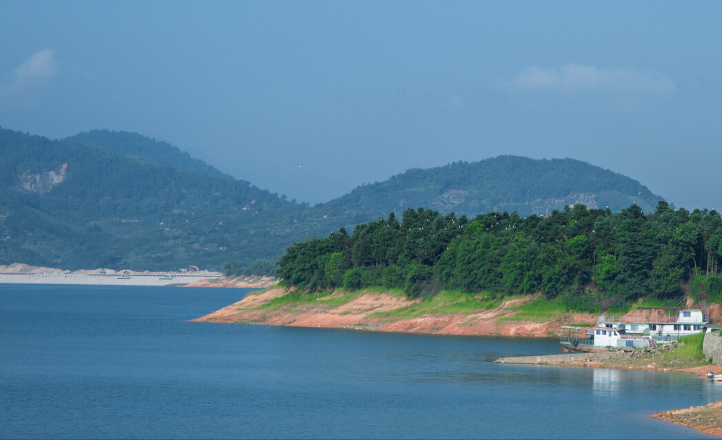于桥水库:"金翅鲤鱼"在北方是名贵鱼,在南方为啥不受欢迎?