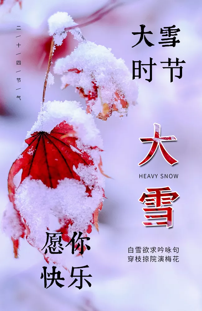 大雪节气到来，愿你与雪同乐，欢喜愉快，早安